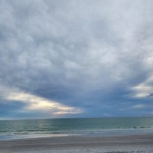 Profile photo of Tay