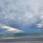 Profile photo of Tay