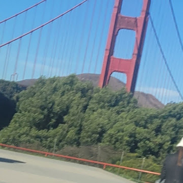 Profile photo of Beverly