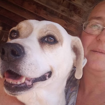 Profile photo of Stacy Gley