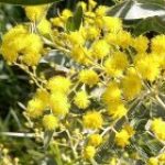 Profile photo of Sarah