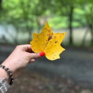 Profile photo of Maylin