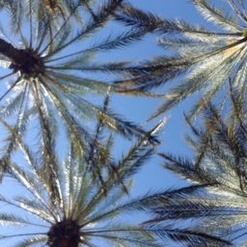 Profile photo of Jennifer Harris