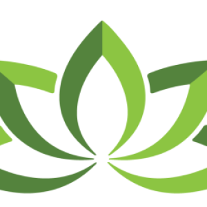 Profile photo of Martinos