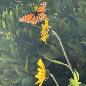 Profile photo of Claudia