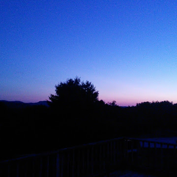 Profile photo of Mandy Wheeler