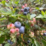 Profile photo of Pamela