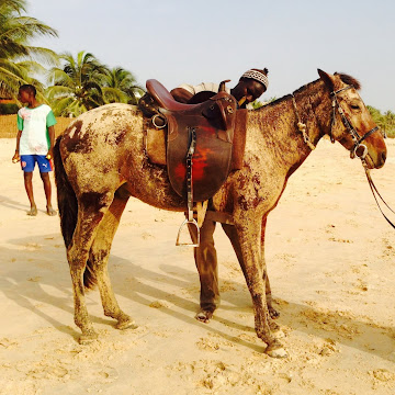 Profile photo of sabine wolffersdorff