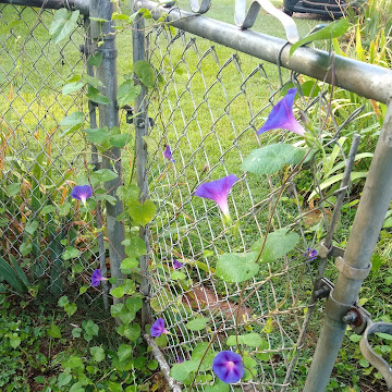 Profile photo of Jessica