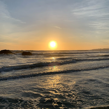 Profile photo of Reyna