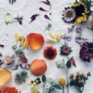 Profile photo of Christy