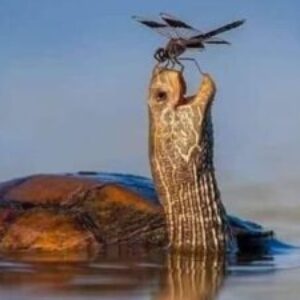 Profile photo of Beth