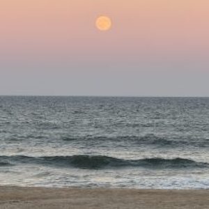 Profile photo of Danielle