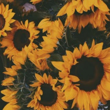 Profile photo of Olivia