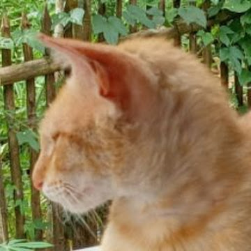 Profile photo of Kimberly Angeles