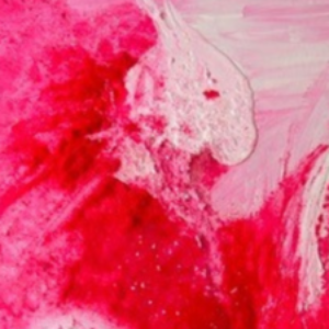 Profile photo of Nicola Wakeman