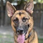 Profile photo of Abigail