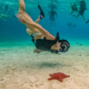 Profile photo of Roxana