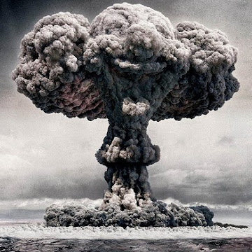 Profile photo of Stacey Bergland