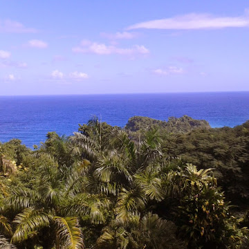 Profile photo of Yori-Ann Rodney Faivre