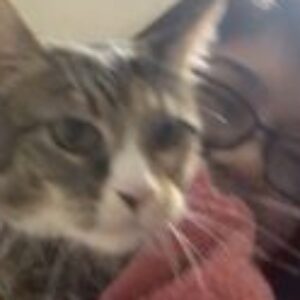 Profile photo of Keira