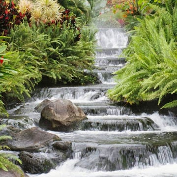 Profile photo of Sabeera