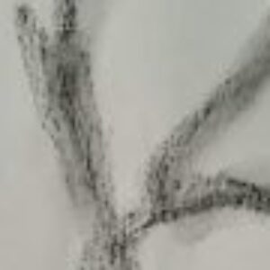 Profile photo of Alla