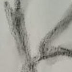 Profile photo of Alla