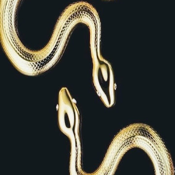 Profile photo of medusza