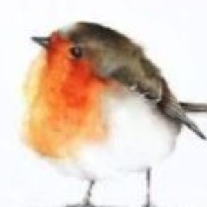 Profile photo of Christi
