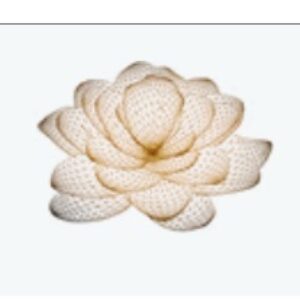 Profile photo of Lotus @ Queensway