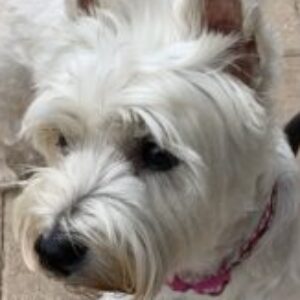 Profile photo of Mary