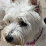 Profile photo of Mary