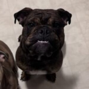 Profile photo of Julie