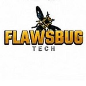 Profile photo of Flaws Bug