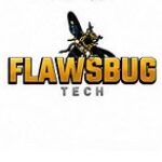 Profile photo of Flaws Bug