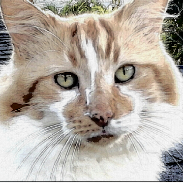 Profile photo of Margaret Gorta