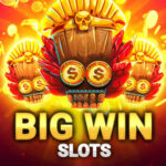 Profile photo of slot